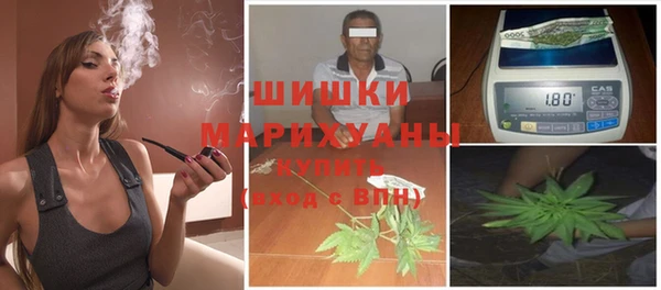 ПСИЛОЦИБИНОВЫЕ ГРИБЫ Горнозаводск
