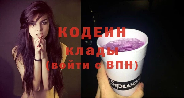 ПСИЛОЦИБИНОВЫЕ ГРИБЫ Горнозаводск