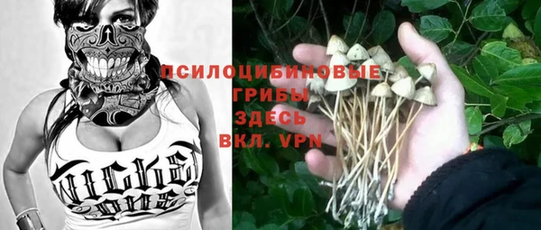 ПСИЛОЦИБИНОВЫЕ ГРИБЫ Горнозаводск