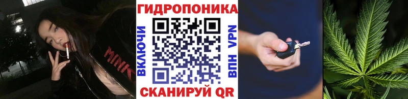 МАРИХУАНА OG Kush  Ставрополь 